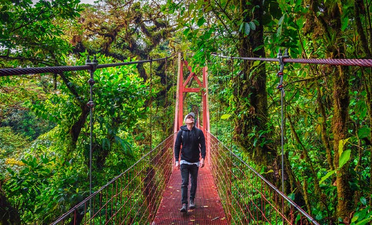Turista caminha por uma ponte suspensa no meio da floresta nublada de Monteverde, na Costa Rica