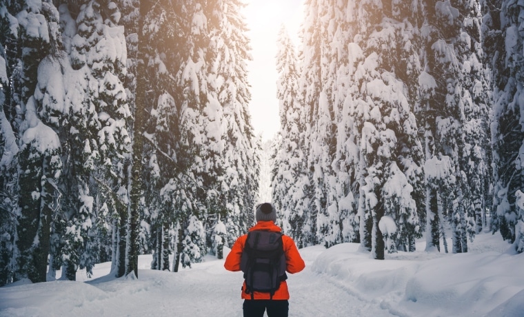 Seguro viagem Finlândia para trekking na floresta de gelo