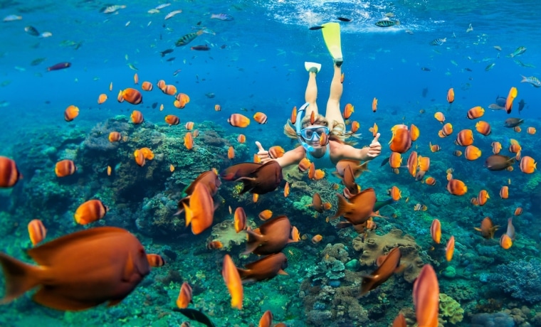 Mergulho em águas cristalinas na Indonésia
