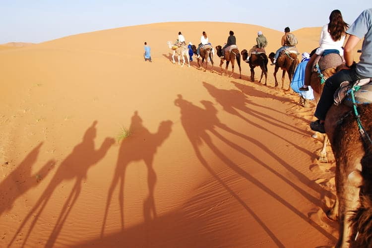 Grupo de viajantes em camelos em trecho do Saara entre Marrocos e Argélia