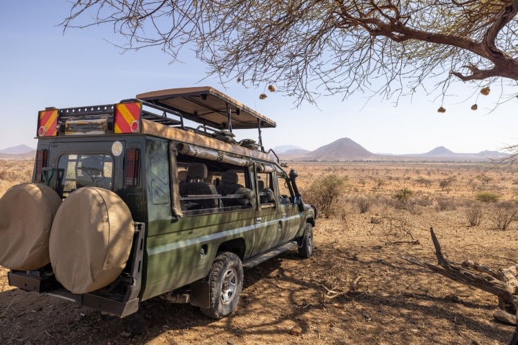 Vista do Parque Nacional do Quênia em dia ensolarado