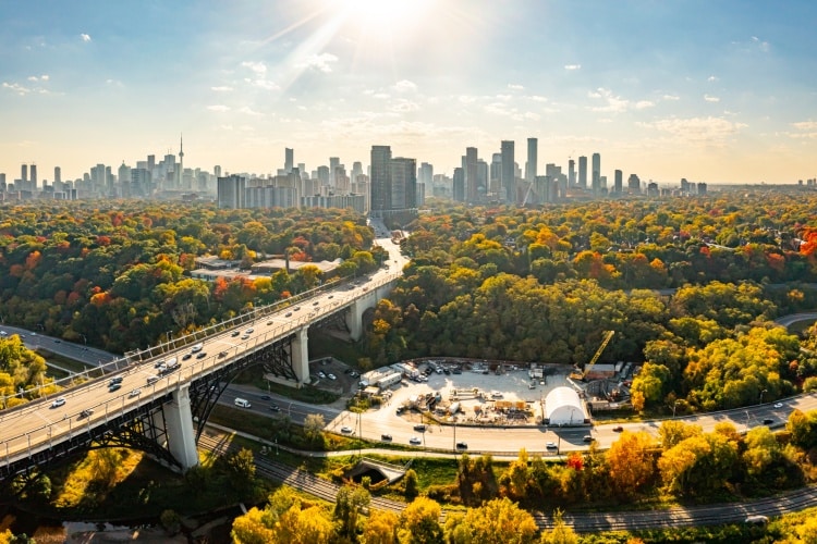 Vista área das árvores no outono, na cidade de Toronto, Canadá