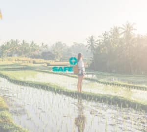 Mulher admirando campo de arroz no verão. Em primeiro plano, logo do Safe Group